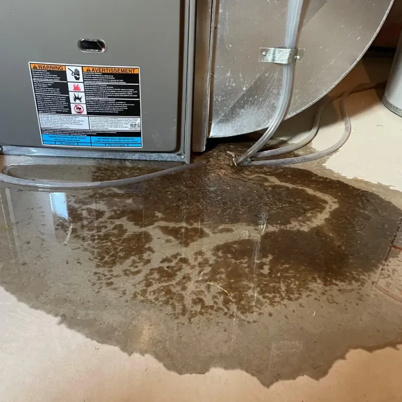 Appliance Leak Cleanup in Piedmont, AL